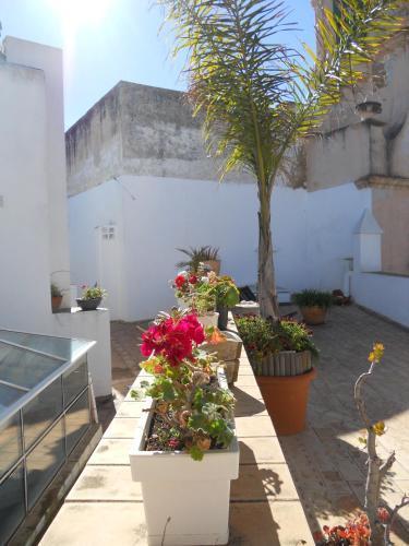 Santa Maria 12 Boutique Apartment Cadiz